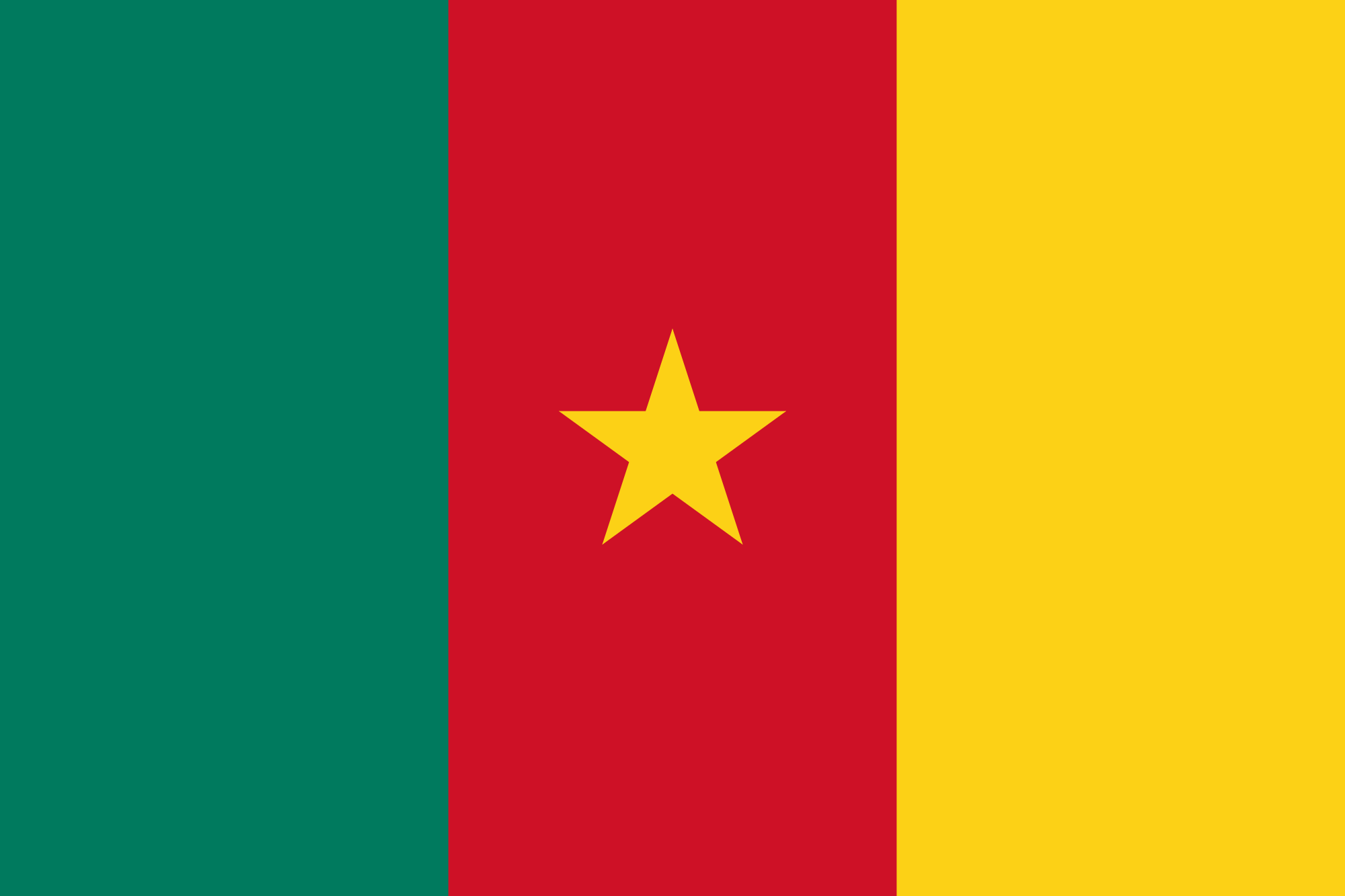 Cameroon flag