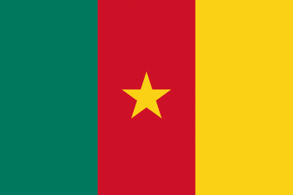 Cameroon flag